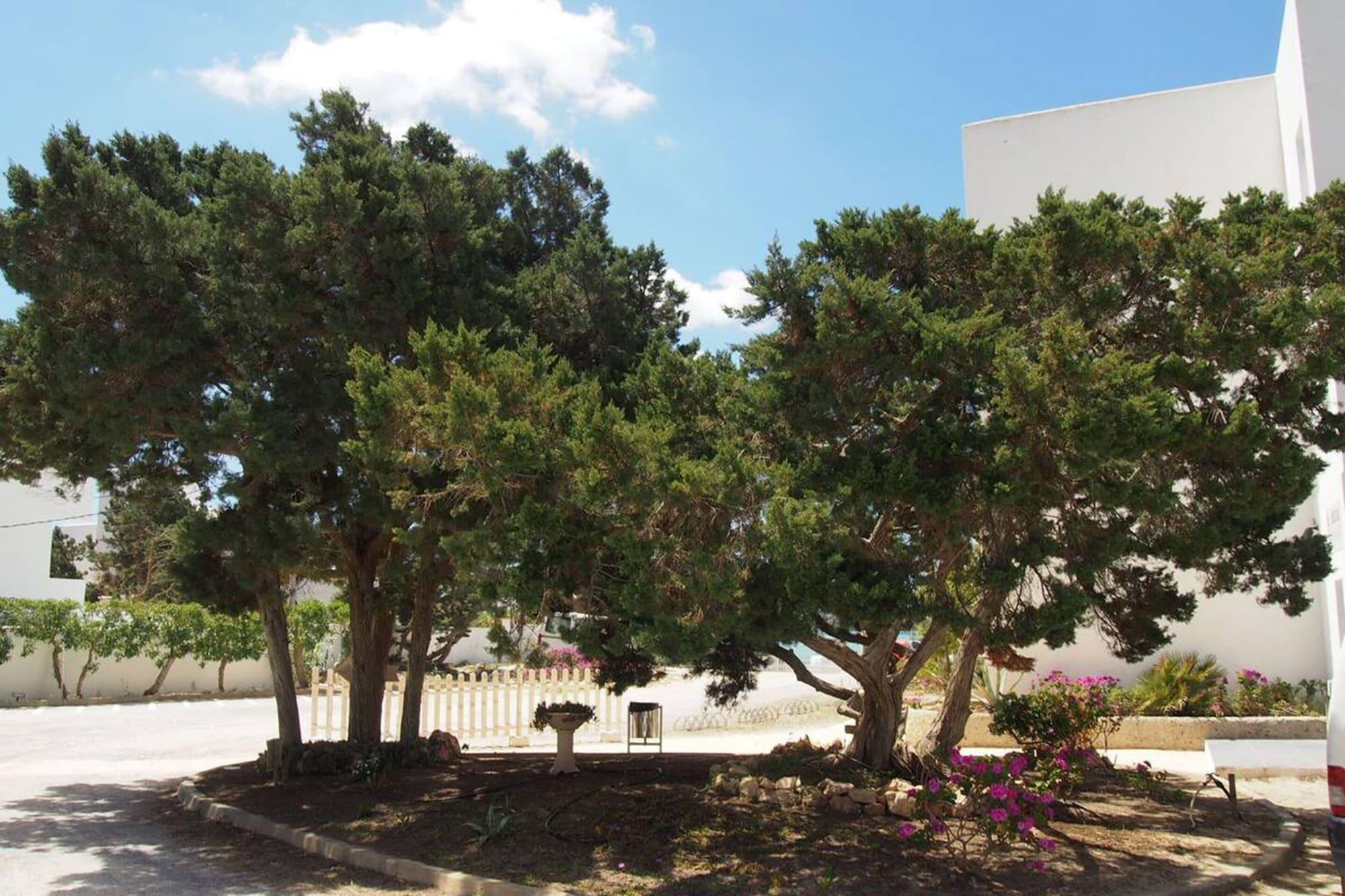 Hotel Lago Playa I Es Pujols Exterior foto